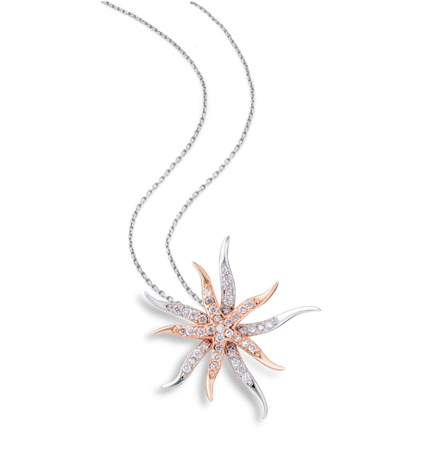Pingente Estrela do Mar — Abigail Roiz