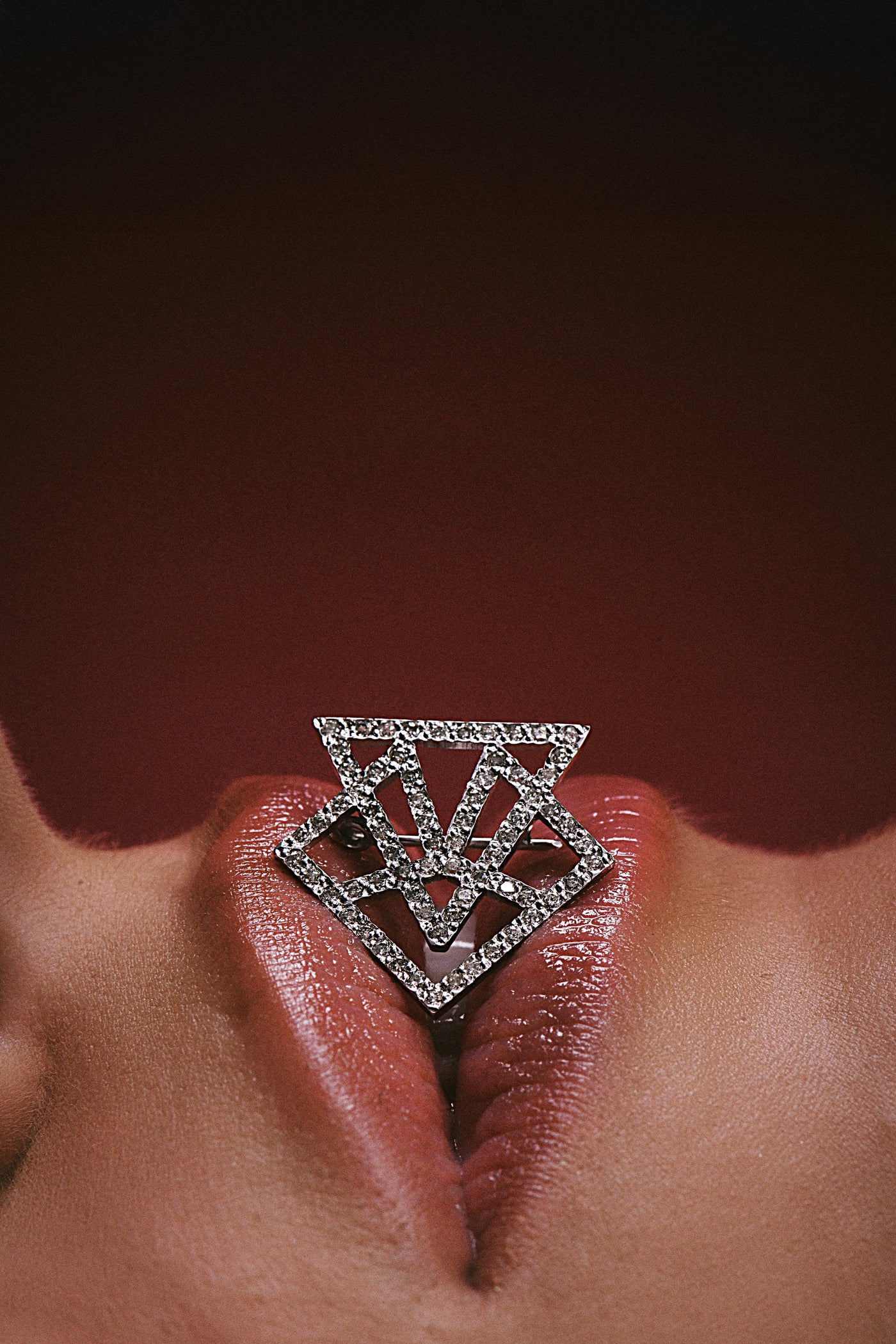 Broche Logo Roiz Abigail Roiz - foto de estudio lookbook Minas Gerais